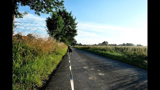 🚶‍♀️🐺🌲🌳 noch mal Rost  Reste verklebern [upl. by Holds]