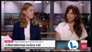 SVT Morgonstudion 27 nov [upl. by Renruojos]