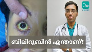 എന്താണ് ബിലിറുബിൻ കൂടാൻ കാരണം  Bilirubin Meaning Normal Value amp Liver Function Test  Malayalam [upl. by Mellette]