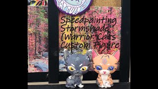 Speedpainting Stormshade Warrior Cats Custom Figure [upl. by Ynamrej23]