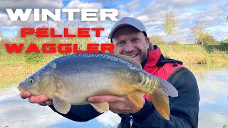 PELLET WAGGLER IN WINTER Winter Fishing for Carp and F1s [upl. by Aeslehs]