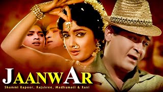 JANWAR  1965  Shammi Kapoor Super Hit Musical Romantic Movie  Full HD Movie [upl. by Grace986]