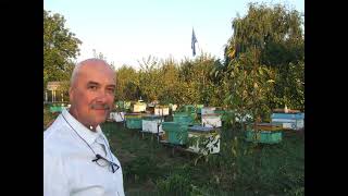 Importance of Medicinal beekeeping for Apitherapy [upl. by Lissak]