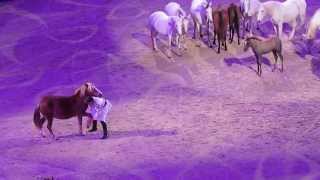 JeanFrancois Pignon quottalking with horsesquot show with 12 young horses  SIHS2013  By EquKing [upl. by Azil769]