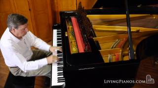 GrotrianSteinweg ArtCase Grand Piano for Sale – Best ArtCase Pianos Online [upl. by Christophe203]