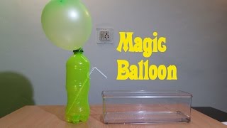 Balloon Magic Physics Experiment  Easy Tutorials [upl. by Mcwherter324]