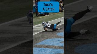 NFL REFS ARE TRASH shorts nfl panthers keeppounding [upl. by Filahk859]