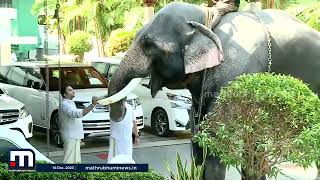 നന്തിലത്ത് ആനത്തറവാട്ടിലെ യുവരാജാവ് നന്തിലത്ത് ഗോപാലകൃഷ്ണൻ [upl. by Kirimia168]