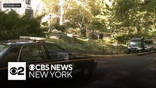 RFK Jr admits dumping dead bear in Central Park in 2014 [upl. by Hailee]