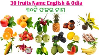 Fruits Name in Odia to English30 Fruits Name English to odia Fruits Name ୩୦ ଟି ଫଳର ନାମAll fruit [upl. by Anital328]