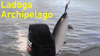 Russian Fishing 4 salmon zander Ladoga Archipelago RF4 SPOT 145 [upl. by Zobkiw]