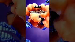 CRISPR Cas9 is a revolutionary gene editing tool shorts techfacts crisprcas9 [upl. by Alebasi918]