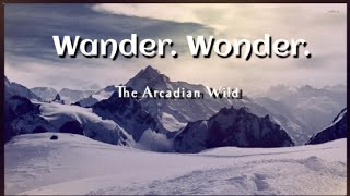 Wander Wonder — The Arcadian Wild Lyrics [upl. by Eirdua294]