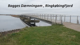 Rad  und Wanderweg Bagges Dæmning Ringkøbing Fjord bei Søndervig 🇩🇰 [upl. by Niamart929]