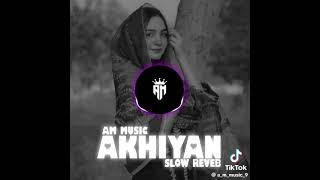 ve ranjha ve mahiya akiyan ma there nal laya full song slowed reverb [upl. by Bethesda661]