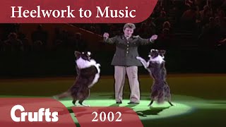 Heelwork To Music  Mary Rays 2002 Performance  Crufts Dog Show [upl. by Mylo]