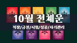 타로10월 10월 전체운수비학일년수직장금전시험사업관계자기관리 [upl. by Benedick]