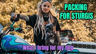 Sturgis The Ultimate Dog Packing Guide [upl. by Namyh]