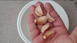 Homemade Onion amp Garlic Recipe  Simple Easy Onion Recipe  Restaurant Style Onion Recipe [upl. by Anelaj259]