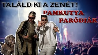 TALÁLD KI A ZENÉT PAMKUTYA PARÓDIA [upl. by Neville240]