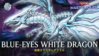 BlueEyes White Dragon  BlueEyes Alternative White Dragon  Rank Gameplay YuGiOh Master Duel [upl. by Ashleigh]