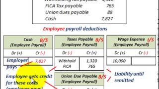 Current Liabilities Accounting Payroll Deductions Employee Vs Employer Payables amp Expense [upl. by Singh]