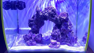 My new NANO Reef Tank setup Update 1 [upl. by Assenyl576]