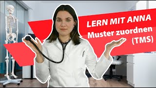 TMS  Der Medizinertest  Muster zuordnen  Lern mit Anna 2024 tms medizinstudium [upl. by Scammon]