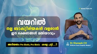 വയറിൽ നല്ല ബാക്റ്റീരിയകൾ വളരാൻ ഈ ഭക്ഷണങ്ങൾ മതിയാവും അറിയണം Pre Biotic Pro Biotic കളെ പറ്റി [upl. by Lemrac]