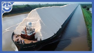 Harvesting MILLIONS of Tons Of Sugarcane To Make Raw And Refined SUGAR [upl. by Belsky]