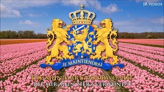 Niederländische Nationalhymne NLDE Text  Anthem of Netherlands German [upl. by Ydissak473]