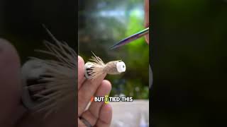 The Llanolope is a legendary local popper here in Texas flytying flyfishing dryfly tutorial [upl. by Nnyloj906]