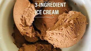 Chocolate Ice Cream Recipe Eggless Without Ice Cream Maker With Condensed Milk Cocoa Powder [upl. by Fein34]