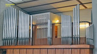 Renovierung Orgel in der Grosse Ref Kirche Zürich Altstetten [upl. by Arekahs]