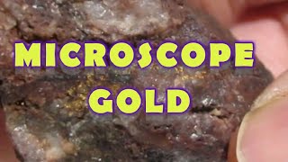 Gold Prospecting Microscope Placer and Lode Gold [upl. by Rollet]