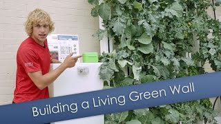 How Do Living Green Walls Work [upl. by Frost]