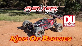 Team Corally Asuga bash testing ADU parts  King Of Buggies [upl. by Marden734]