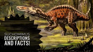 Suchomimus  Crocodile mimic  Description and Facts [upl. by Ttirrej]