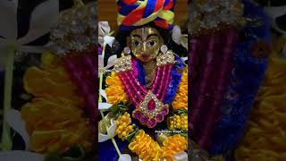 Papankusha ekadashi vrat katha papankushaekadashi2024 [upl. by Rosalinde]