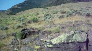 Petroglyphs of Browns Park Colorado [upl. by Salkcin569]