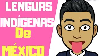 ¿CUÁLES SON LAS LENGUAS INDÍGENAS DE MÉXICO [upl. by Bunny959]