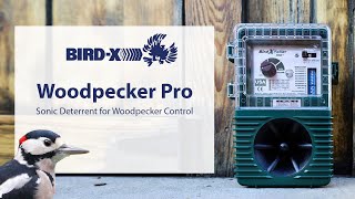 Woodpecker Pro Sonic Deterrent for Woodpecker Control [upl. by Tjaden749]