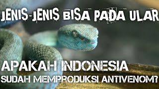 MENGENAL JENISJENIS BISA PADA ULAR DAN ANTI VENOMNYA APAKAH INDONESIA SUDAH MEMPRODUKSINYA [upl. by Trista]