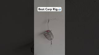 The Ultimate Carp Fishing Rig Guide [upl. by Acinorrev]