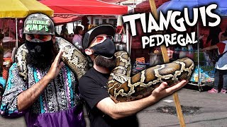 MERCADO DE PULGAS EL TIANGUIS DE LA OCHO 8 PEDREGAL CDMX MÉXICO [upl. by Nahsaj]