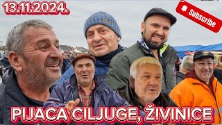 PIJACA NA CILJUGAMA ŽIVINICE BEZ KONKURENCIJE 13112024 [upl. by Lorimer]