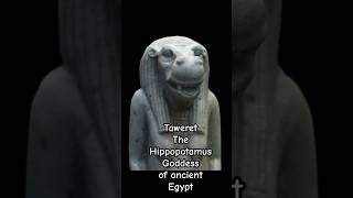 Taweret the hippopotamus headed god of ancient Egypt [upl. by Ennoira]