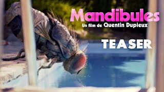 Mandibules  Official Teaser Trailer  HD  2020  ComedyFantasy [upl. by Beilul837]