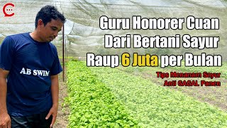 Tips Bertani Sayur yang Menguntungkan dari Guru Honorer Bisa Cuan Rp6 Juta per Bulan [upl. by Eirlav]