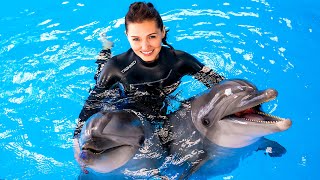 Aksu Dolphinarium Kundu Antalya Turkey [upl. by Kauslick]